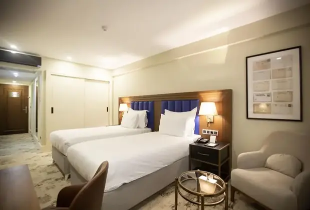 Ramada Plaza by Wyndham İstanbul Sultanahmet - Görsel 8