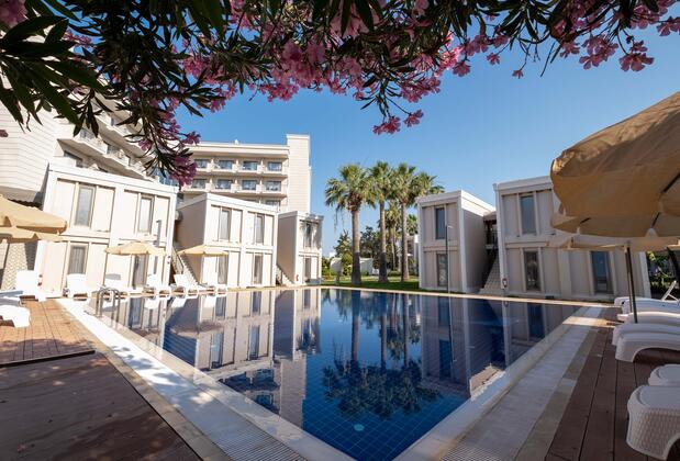 Duja Didim - Görsel 5