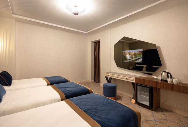 Danis Hotel Istanbul - Görsel 18