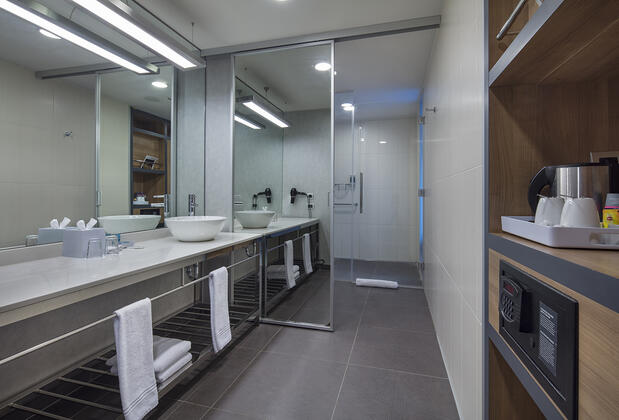 Sheraton Bursa Hotel - Görsel 33