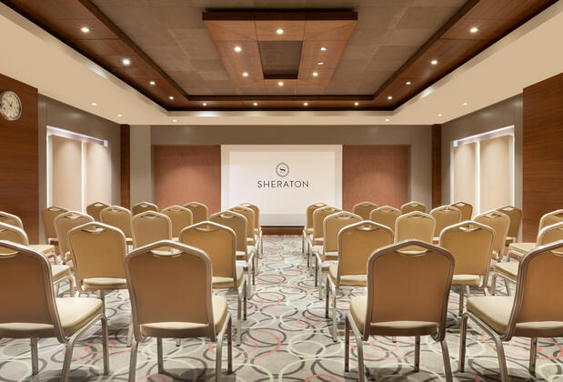 Sheraton Bursa Hotel - Görsel 10