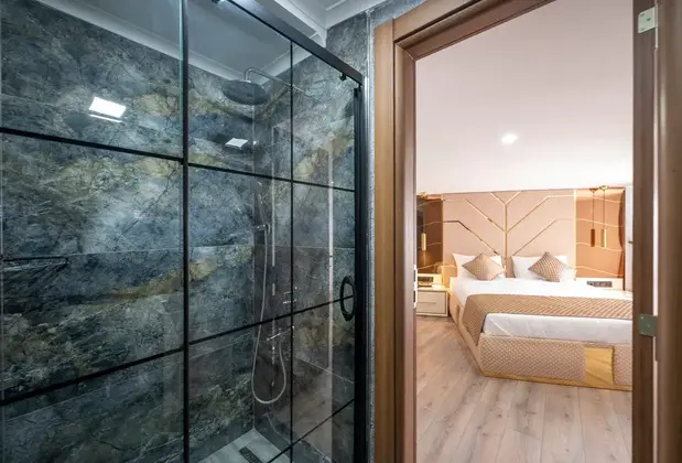 Luxury Airport Hotel - Görsel 3