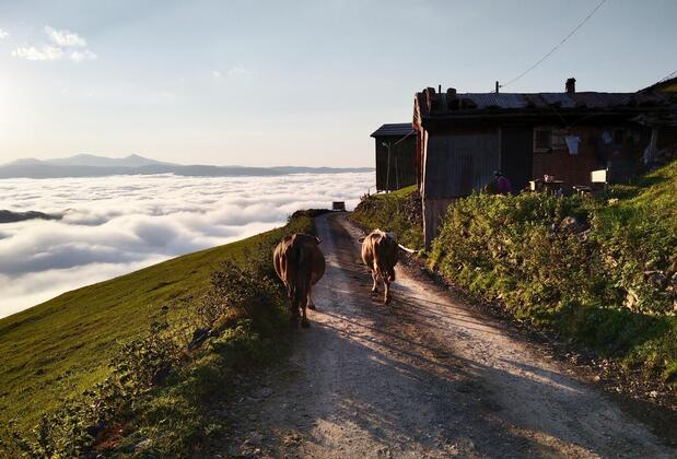 Migroraş Otel Restaurant Karester Yaylası - Görsel 5