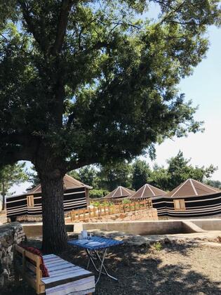 Pozitifköy - Görsel 16