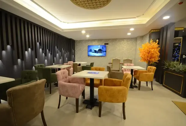 Snow Mount Ski Otel Spa - Görsel 9