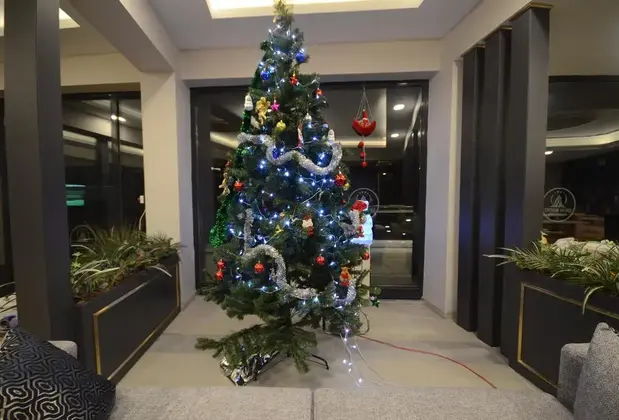 Snow Mount Ski Otel Spa - Görsel 7