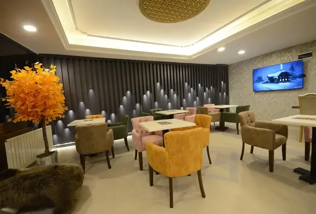 Snow Mount Ski Otel Spa - Görsel 8