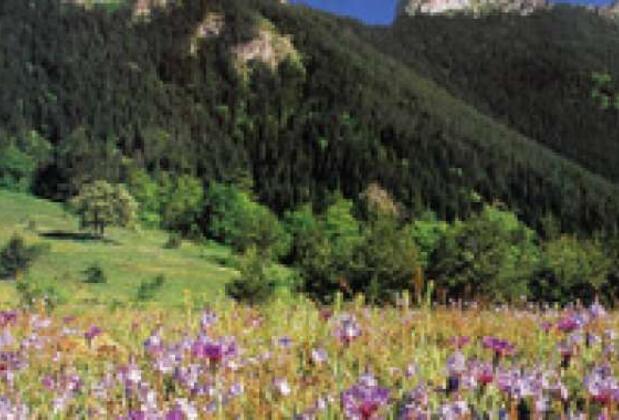 Muhteşem Doğası İle Eski Bir Osmanlı Kenti: Kastamonu