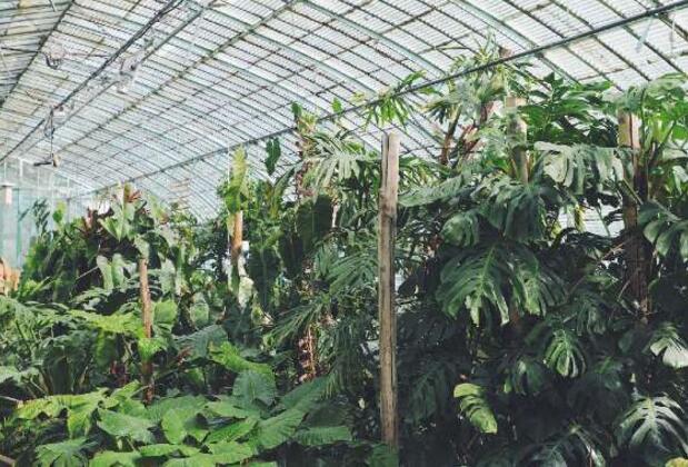 İzmir Botanik Bahçeleri