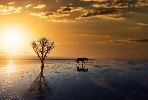 Tuz Gölü Konaklama Rehberi