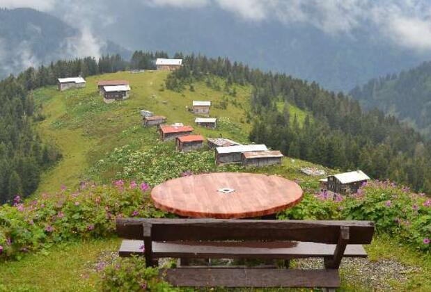 Rize'nin Bol Oksijenli Atmosferi: Pokut Yaylası Hakkında Her Şey