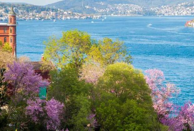 İstanbul’da Erguvan Zamanı