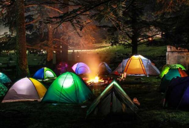 Kampçı Tayfa için Hangi Kampçısın Testi