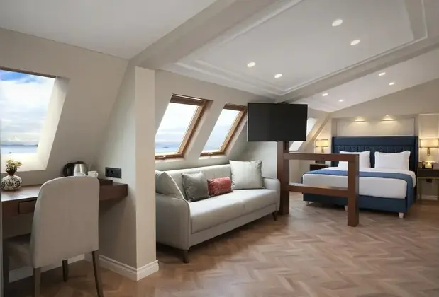 Royan Hotel Hagia Sophia Radisson Individuals - Görsel 8