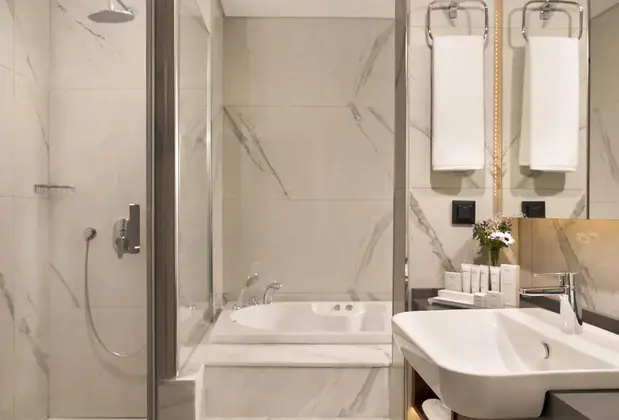 Royan Hotel Hagia Sophia Radisson Individuals - Görsel 10