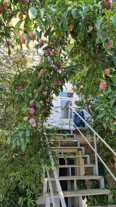 Noyan Apart Hotel - Görsel 3