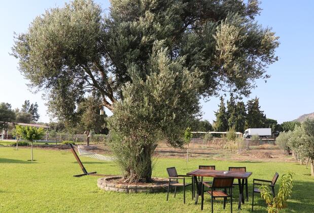 Nima Otel - Görsel 11