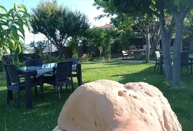 Petit Jardin Boutique Hotel - Görsel 7