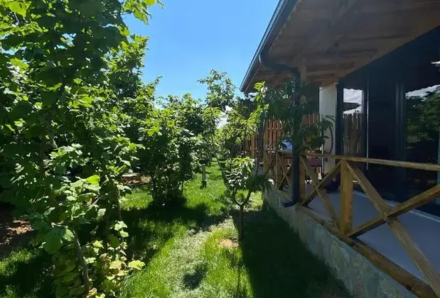 Tiny River House Agva - Görsel 12