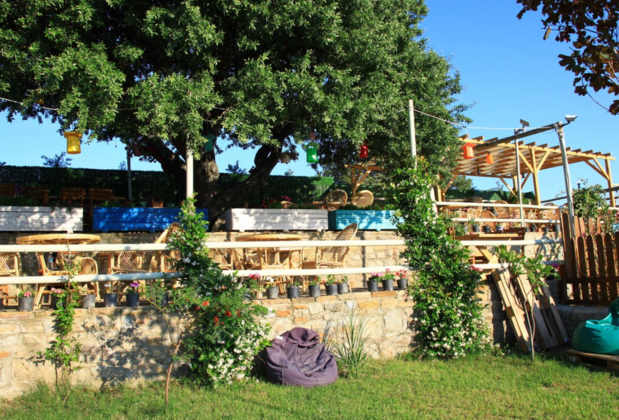 Bahçe Kipos Konukevi  Laz Koyu - Görsel 14