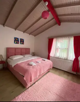 Sapanca Pink House - Görsel 6