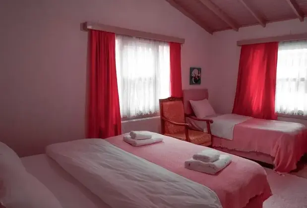 Sapanca Pink House - Görsel 7
