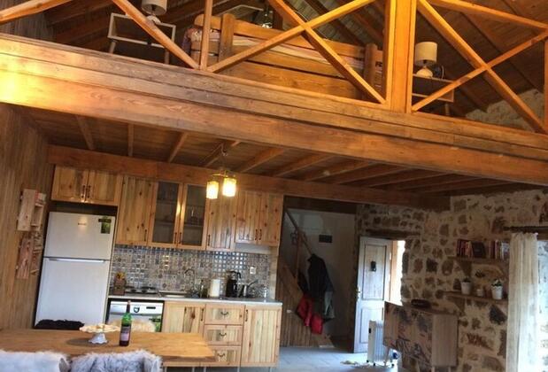 Evimiz Kazdaglari - Görsel 4