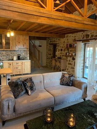 Evimiz Kazdaglari - Görsel 7