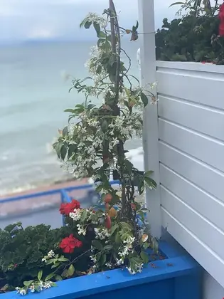 Simirna Otel - Görsel 8