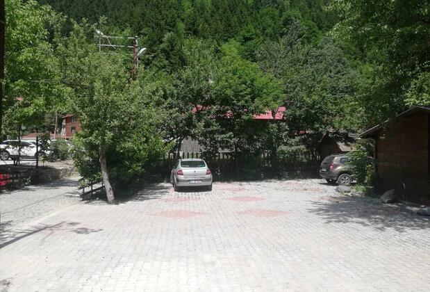 Serah Bungawilla - Görsel 11