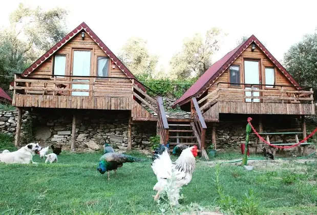 Degirmen Kamping Bungalow - Görsel 7