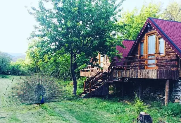 Degirmen Kamping Bungalow - Görsel 9