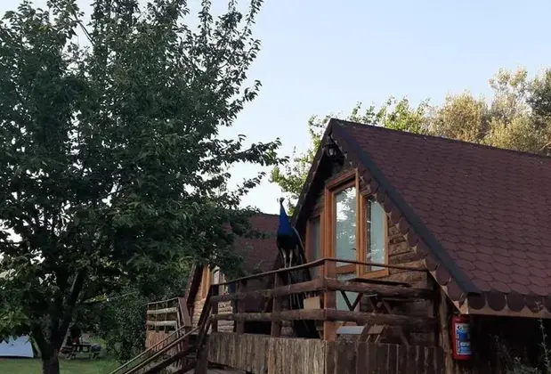 Degirmen Kamping Bungalow - Görsel 6