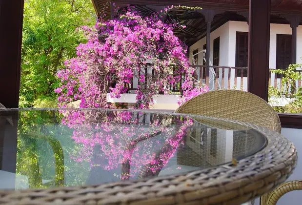 Jasmine Suites Akyaka - Görsel 10