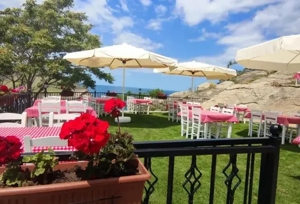 Imroz Begonvil - Görsel 11