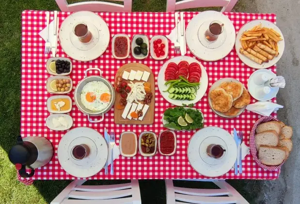 Imroz Begonvil - Görsel 12