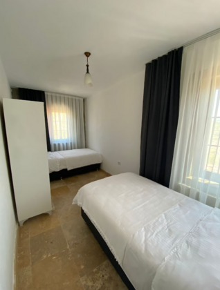 Imroz Begonvil - Görsel 3