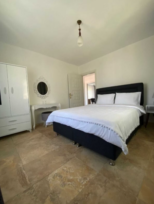 Imroz Begonvil - Görsel 5