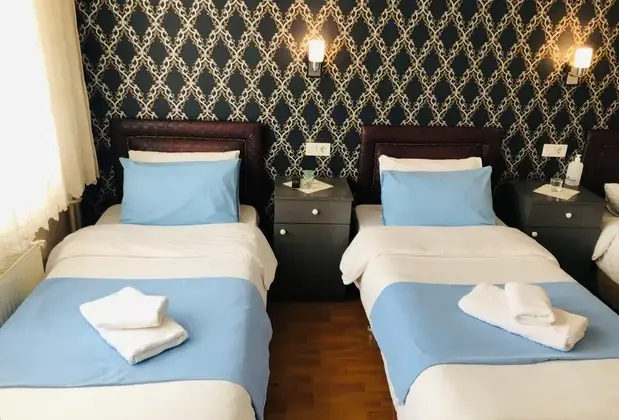 Saray Otel - Görsel 7