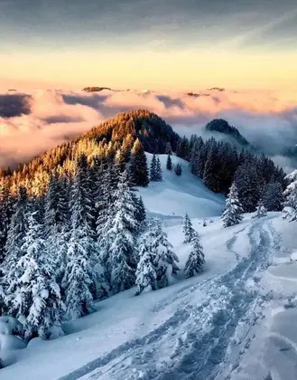 Ny Cambasi Bungalov - Görsel 6