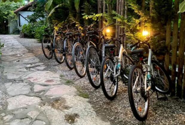 Heinz Bungalov Otel - Görsel 4