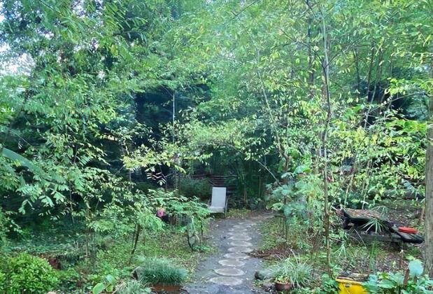 Heinz Bungalov Otel - Görsel 5