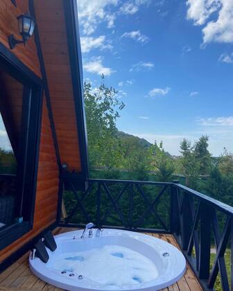 Sapanca Yagiz Bungalow - Görsel 12