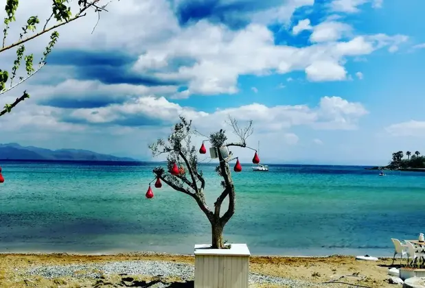 W. Antic Cafe Restaurant Butik Otel - Görsel 5