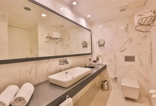 Business Life Hotel - Görsel 12