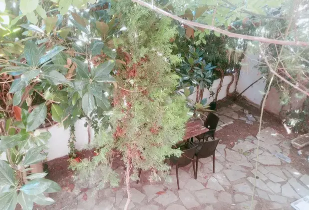 Ezgi House - Görsel 13