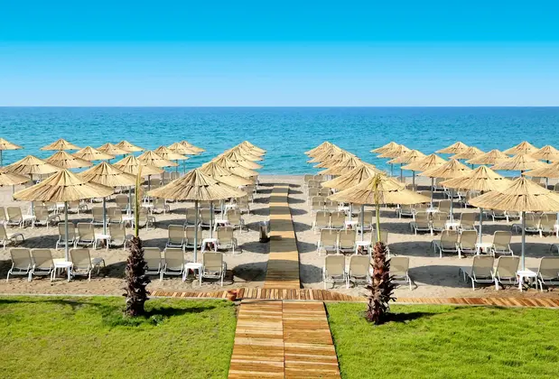 Asteria Bloom Side - Görsel 5