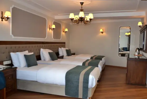 Ahmet Efendi Konagi - Görsel 11