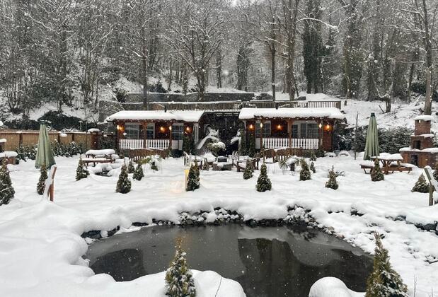 Sapanca Soğucak Dağ Evi - Görsel 15