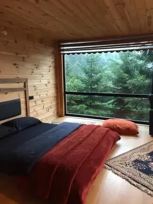 Ayder Dag Evi Chalet - Görsel 8